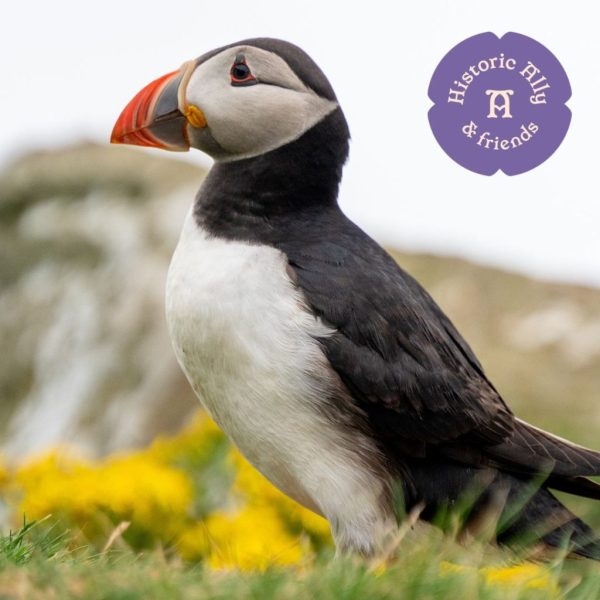 Tour Commencing Edinburgh Sun 14 Jun 2026